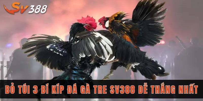 Đá gà tre SV388